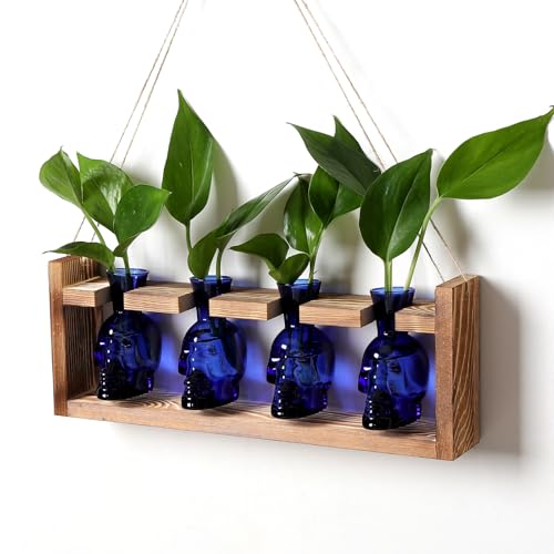 Plant Propagation Stations Halloween Skull Plant Terrarium Kit - color: Blue