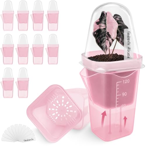 12 Pack 2" Small Pink Self Watering Pots with Humidity Dome for Indoor Plants,Clear Seed Starter Cup,Tissue Culture Acclimation Kit,Alocasia Corm Propagation,African Violet,Cutting,Seedling - color: Frosted Pink, size: 2"