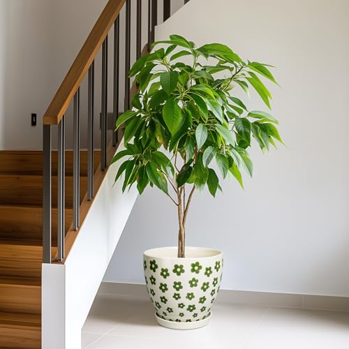 MPotTo Ceramic Flower Pot, 10 Inch, White - color: Petal White, size: 10 Inch