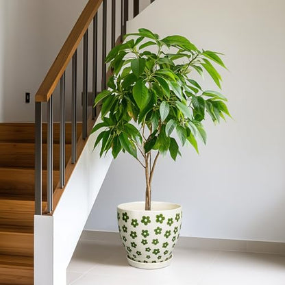 MPotTo Ceramic Flower Pot, 10 Inch, White - color: Petal White, size: 10 Inch