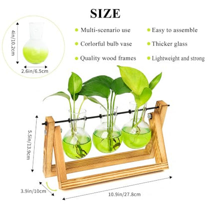 XXXFLOWER Plant Terrarium Kit with Wooden Stand 3 Gradient Green Bulb Vases - color: Green