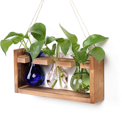 Plant Propagation Station Plant Terrarium Unique Birthday Gifts for Women - color: Color01