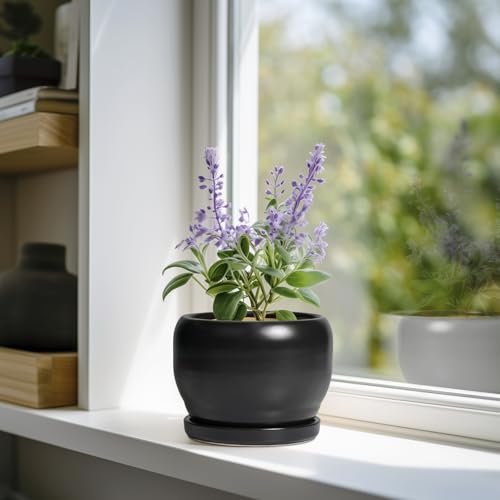 SQOWL Ceramic Plant Pot - 6 Inch Planter for Indoor Plants, Round Flower Pot with Drainage Hole and Saucer, Modern Succulent Planter Outdoor, House Decor, Plant Lovers Gifts, Black - color: Matte Black, size: 6 Inch