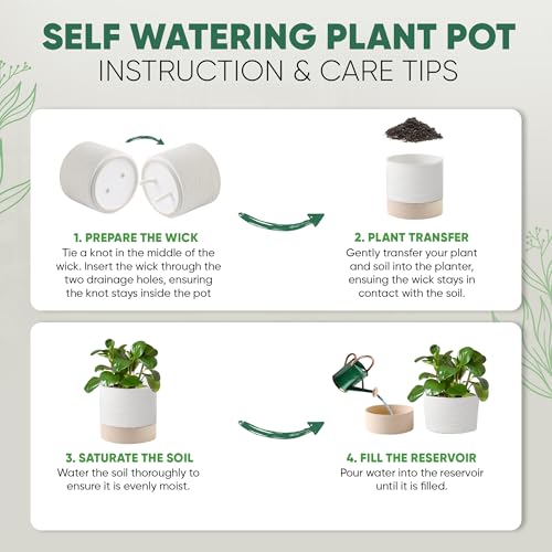 Ceramic Self Watering Plant Pots – 6 Inch White Planter with Drainage Hole & Water Storage for Succulents & Modern Indoor House Plants (White & Beige, 6" Wide) - size: Medium