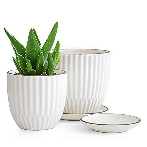 D'vine Dev 2-Pack Stoneware Planter Pots, 4.5/5.8 in, Ivory, 99-D-1 - color: Ivory