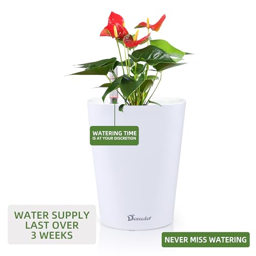 Dexceder 6x7 Self Watering Planter (White) - color: White