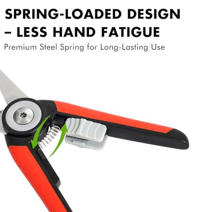 LIVINGO Garden Pruning Shears Floral Scissors with Straight Blade