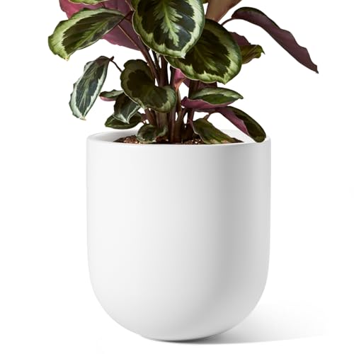 LE TAUCI 8 Inch Ceramic Plant Pot, Indoor Planter, White - color: White, size: 8“