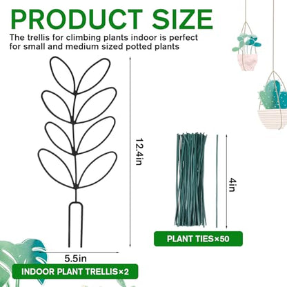 2 Pack Small Plant Trellis for Pots Indoor