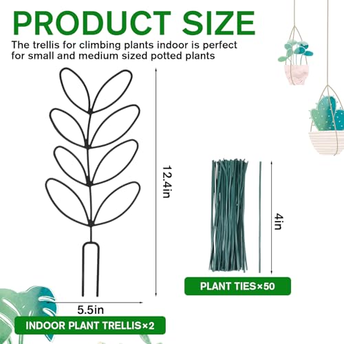 2 Pack Small Plant Trellis for Pots Indoor