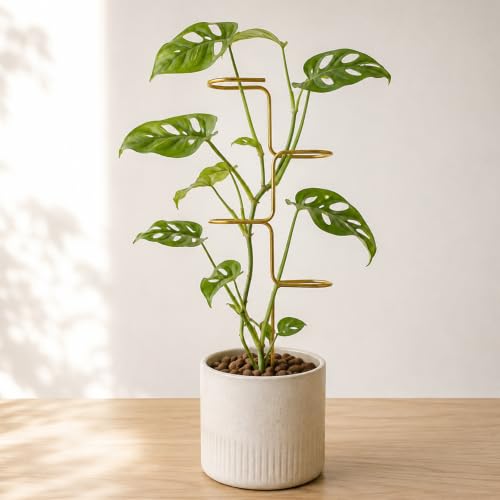 17" Plant Supports for Indoor Plants 3PCS Monstera & Pothos Climber Stakes - color: Gold