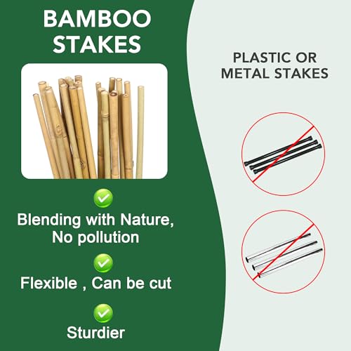 4 Feet Natural Bamboo Trellis 3 Pack, Oltara Fan-Shaped Plant Support Trellis for Outdoor and Indoor Climbing Plants, Potted Plants, Vegetables, Cucumbers, Tomatoes