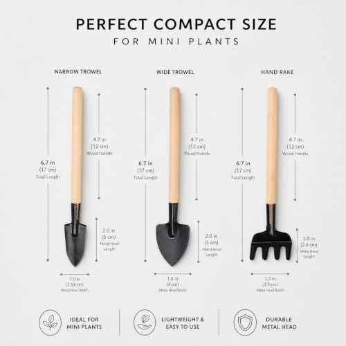 3Pcs Mini Gardening Tool Set with Wooden Handles Includes Small Hand Rake and Spade Ideal for Bonsai and Potted Plants Care