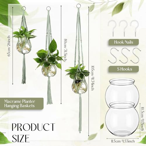 Colingmill 6 Pcs Plastic Plant Propagation with Boho Macrame Hanger Wall Plant Propagation Station Hanging Holder Include Hooks Kit for Indoor Home Garden Office Decor 3 Size (Sage Green) - color: Sage Green