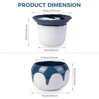BUYMAX African Violet Pots, 6 inch Ceramic Easy Self Watering Plant Pot for Busy Plant Lovers, Automatically Absorb Appropriate Amount of Water, Flower Pot Indoor-Plants Not Included(Blue) - color: White-blue