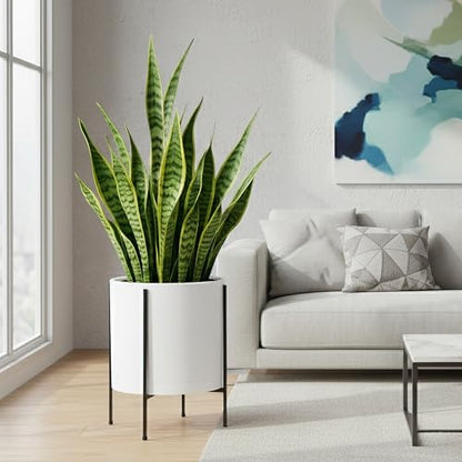 D'vine Dev Plastic Planter Pot with Metal Stand, White, 14 in, 55-D-A-4 - color: White, size: 14 Inch