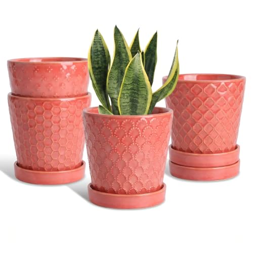 EFISPSS Ceramic Plant Pots, 5 Inch Planters with Drainage Holes and Ceramic Tray, Relief Design Flower Planter, Desktop Office Windowsill Decoration Gift Set of 4 - Magenta - color: Magenta