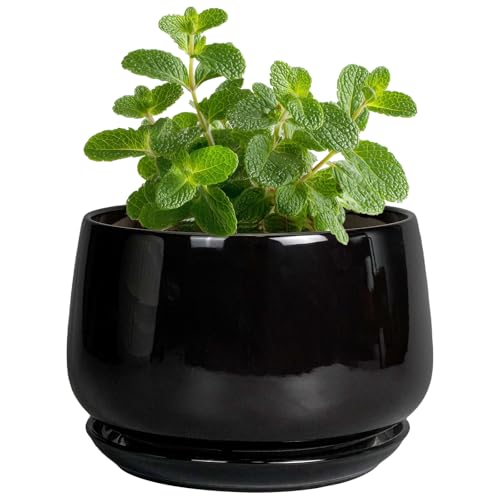 G EPGardening Small Ceramic Planter - 4 Inch Succulent Pots with Drainage Hole & Sacuer, Flower Pots for Indoor Outdoor Plants, Modern Decorative Round Planter, Room Decor, House Warming Gifts, Black - color: Black, size: 4 Inch