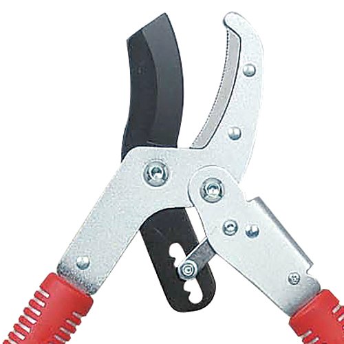 SENKICHI Ratchet Type Tree Thick Branch Cut Scissors (Curve Handle) Sgfl-3r