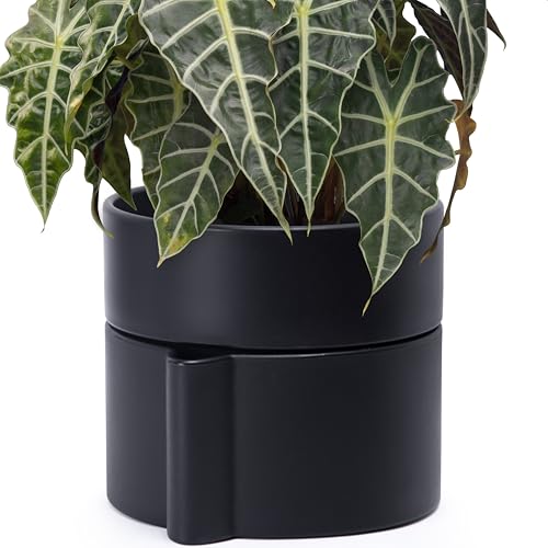 Phoenix Vine 8 Inch Self-Watering Planter Pot with Terracotta Insert, Deep Water Reservoir, and Ceramic-Alike BPA-Free Plastic Planter Pot for Plant, Modern Planter for Houseplants, Black, 53-A-T-2 - color: Black, size: 8 Inch