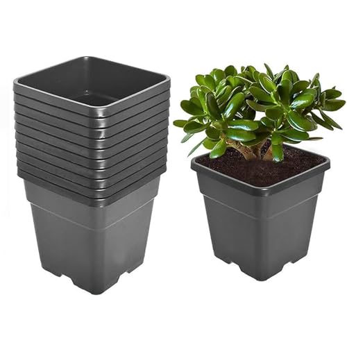 10 Pcs 3 Gallon Black Square Nursery Pots with Drainage Holes and Plant Flexible Seedling Pots Seed Starting Planter for Indoor Outdoor Flowers