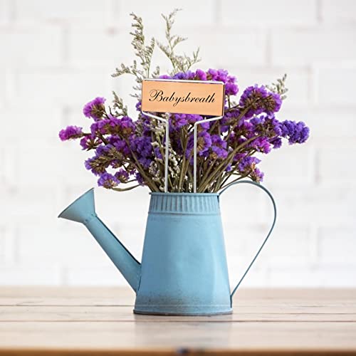 KINGLAKE GARDEN Copper Plant Labels 20 Pack Metal Plant Labels