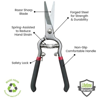 Garden Guru Classic Bypass Pruning Shears Clippers – Heavy Duty Forged Steel Garden Pruners – Safety Lock – Non Slip Comfort Grips – Cuts up to 1” Diameter – Professional Bypass Pruners for Gardening - size: 1 Pack, style: Precision Blade