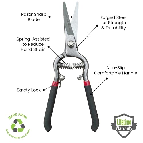 Garden Guru Classic Bypass Pruning Shears Clippers – Heavy Duty Forged Steel Garden Pruners – Safety Lock – Non Slip Comfort Grips – Cuts up to 1” Diameter – Professional Bypass Pruners (2 Pack) - size: 2 Pack, style: Precision Blade