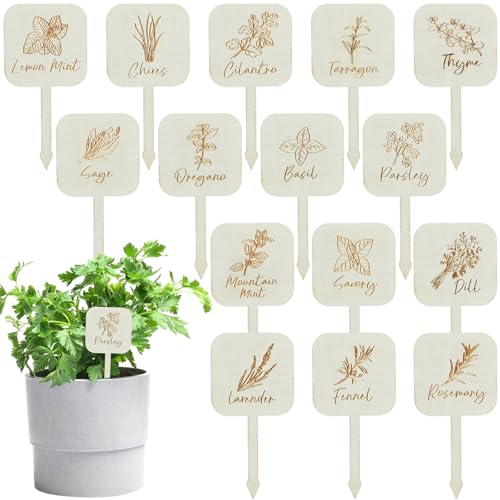 30 Pcs Wooden Plant Labels T-Type Herb Garden Tags with Printed Plant Name