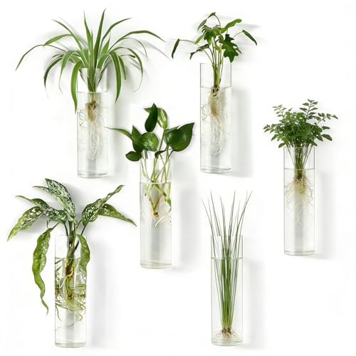 6 Pack Cylinder Wall Hanging Glass Planter Propagation Station, Clear Hanging Vase Tubes for Hydroponics, Succulents, Air Plants, Wall Decor for Bathroom, Home, Office, Plant Lovers (Cylinder)