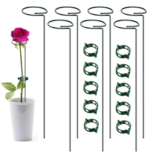 7 Pack Plant Support Stakes with 10 Clips