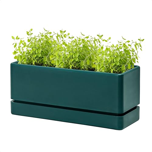 D'vine Dev Rectangular Planter, 12 x 4.5 in, Green, Set of 1, 76-X-C-1 - color: Green
