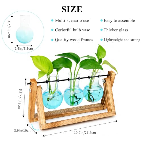 XXXFLOWER Plant Terrarium Kit with Wooden Stand 3 Gradient Blue Bulb Vases - color: Blue