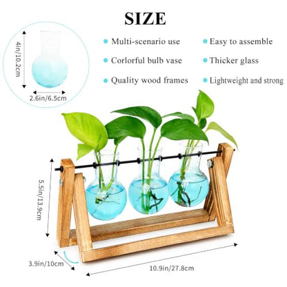 XXXFLOWER Plant Terrarium Kit with Wooden Stand 3 Gradient Blue Bulb Vases - color: Blue