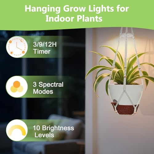 Hanging Planters - Help Plants Thrive in Low Light - color: Self Watering White(daylight), size: 10 Inch