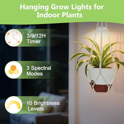 Hanging Planters - Help Plants Thrive in Low Light - color: Self Watering White(daylight), size: 10 Inch