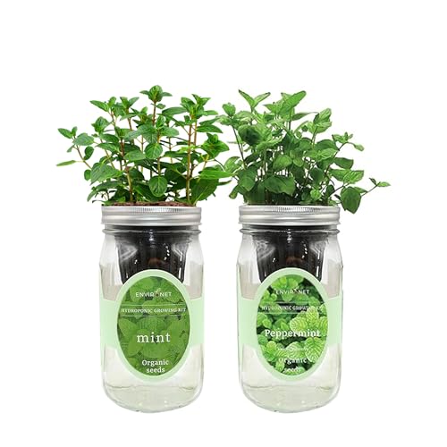 2-Pack Hydroponic Mason Jar Herb Garden Kit, Indoor Herb Garden Self-Watering Starter Kit, New Christmas Gift for Mom (Mint,Peppermint)