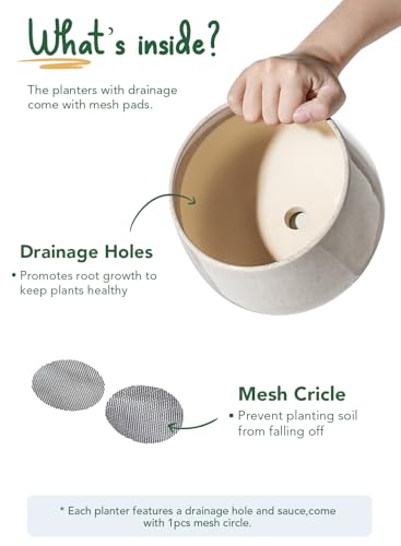 LE TAUCI Plant Pots, 4.1+5.1+6.5 inch, Set of 3, Reactive Glaze Beige - color: Reactive Glaze Beige