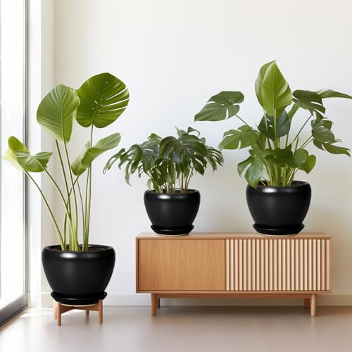 Ceramic Planters Pots - 10 Inch 8 Inch 6 Inch Plant Pots Indoor with Drainage Holes and Saucers Large Planters Mid-Century Flower Pots Outdoor Set of 3 Black - color: Black