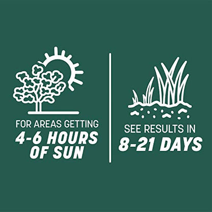 Pennington Smart Seed Sun and Shade Mix North Grass Seed, 20 lb - size: 20 lb
