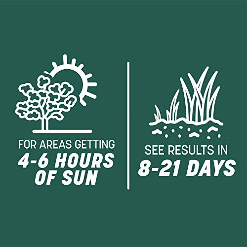 Pennington Smart Seed Sun and Shade Mix North Grass Seed, 3 lb - size: 3 lb