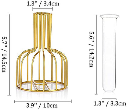 IvyMei Luxurious Nordic Gold Black Table Flower Vase Metal Frame Glass Tube - color: Gold Black