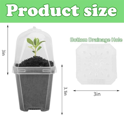 10 Pcs 3" Clear Plant Nursery Pot with Humidity Dome, Plastic Gardening Pot - color: 10pcs-white, size: 3 Inch