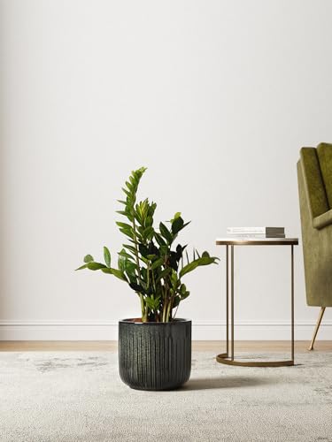 LE TAUCI Ceramic Pots for Plants, 8.3/7/6 Inch Indoor Planters with Drainage Holes & Mesh, Modern Glossy Glaze Cylinder Fluted Plant Pot for Snake Plant, Set of 3, Dark Olive - color: Dark Olive
