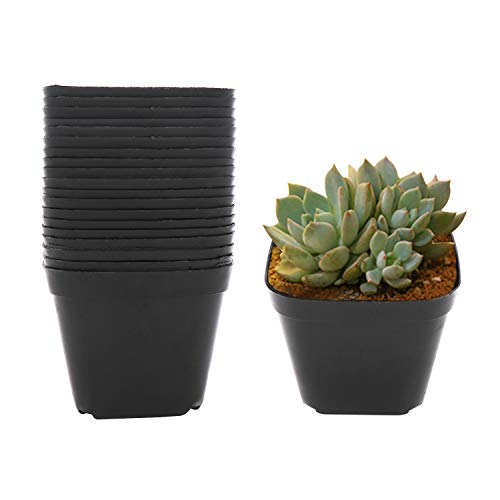 4 Inch Plastic Plant Pots Square Nursery Pot 25 PCS Sturdy & Reusable Starter Container for Starting Seedlings, Succulents,Cuttings & Transplanting with Drainage Holes, Black - size: 4 Inch