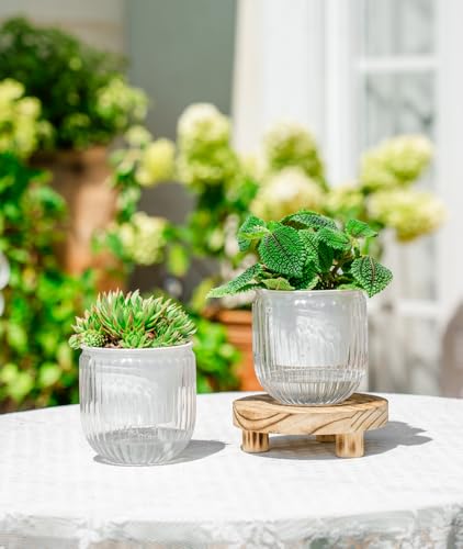 Melphoe Self Watering Pots for Indoor Plants Planter, 4.3 Inch 2 Pack Planters Self Watering Plant Pots for Flower, Houseplants, Succulent, African Violets and Cactus with Drainage - color: White, size: 4.3''