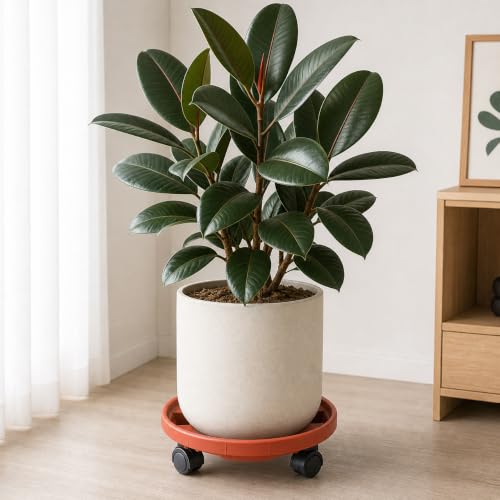 Rolling Plant Stand Outdoor 3 Pack 14 Inch Plant Caddy with Wheels, Red - color: Red, size: 14 inch