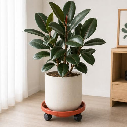 Rolling Plant Stand Outdoor 3 Pack 14 Inch Plant Caddy with Wheels, Red - color: Red, size: 14 inch