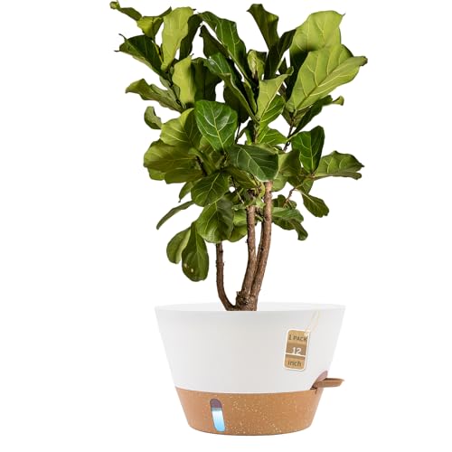 12 Inch Self Watering Pot with Visual Water Window, Drainage Holes & Watering Lip, Large Plastic Planters for Indoor Outdoor Plants, Modern Decorative Flower Pot (White) - color: White, size: 12 Inch