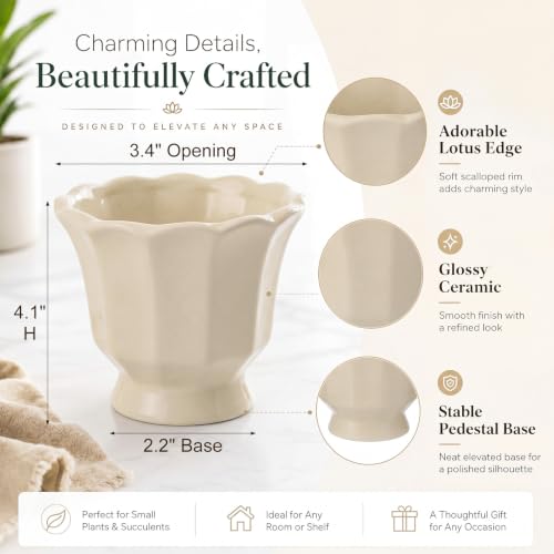 6 Pcs Mini Scalloped Succulent Pots 3.4 Inch Small Planters - style: Lotus Edge Style